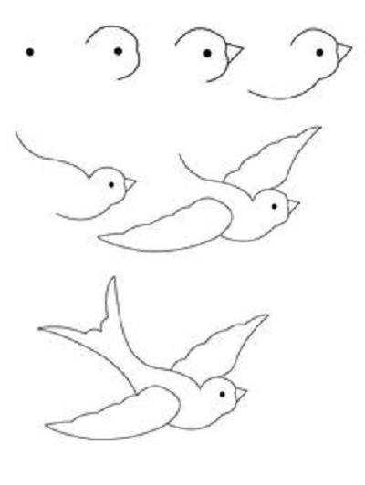  آموزش نقاشی پرنده از ابتدا و مرحله به مرحله 