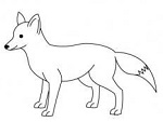  آموزش نقاشي روباه از ابتدا و مرحله به مرحله 