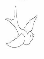 آموزش مراحل نقاشی پرنده بصورت تصویری